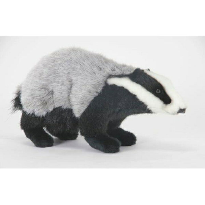 楽天市場 Hansa アナグマ65 3529 ぬいぐるみ ハンサ 穴熊 クマ 熊 クリスマス 誕生日 プレゼント 動物 犬 猫 鳥 うさぎ ペンギン アニマル 置物 人形 フィギュア Koesen ケーセン カロラータ 大きい マスコット 実物大 大型 Agog 楽天市場店 楽天市場 Hansa アナグマ65 3529 ぬいぐるみ ハンサ 穴熊 クマ 熊 クリスマス 誕生日 プレゼント 動物 犬 猫 鳥 うさぎ ペンギン アニマル 置物 人形 フィギュア Koesen ケーセン カロラータ 大きい マスコット 実物大 大型 Agog 楽天市場店