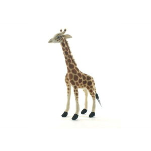 キリン マスコットの人気商品 通販 価格比較 価格 Com キリン マスコットの人気商品 通販 価格比較 価格 Com