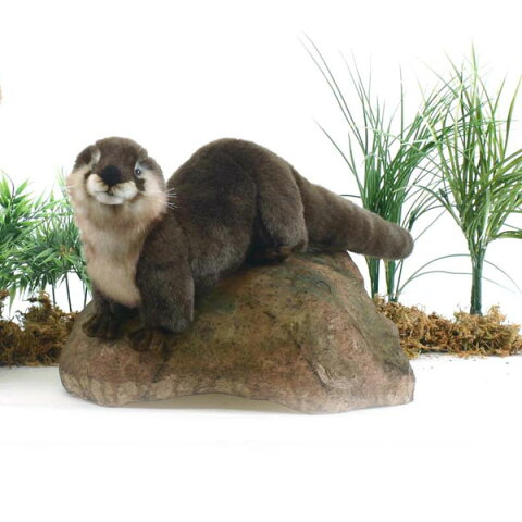可愛くてリアル!世界的大人気ぬいぐるみHANSAカワウソ24L24(cm)3813HANSA商品2点ご注文で送料無料!