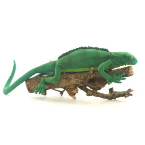 HANSA gJQ32 L32(cm) 3848 ʂ nT NX}X a v[g   L   yM Aj} u l` tBMA KOESEN P[Z 傫 }XRbg  ^