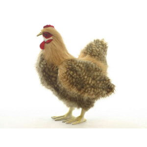 HANSA x[Wh35 H35(cm) 4588 ʂ nT  { NX}X a v[g   L   yM Aj} u l` tBMA KOESEN P[Z 傫 }XRb