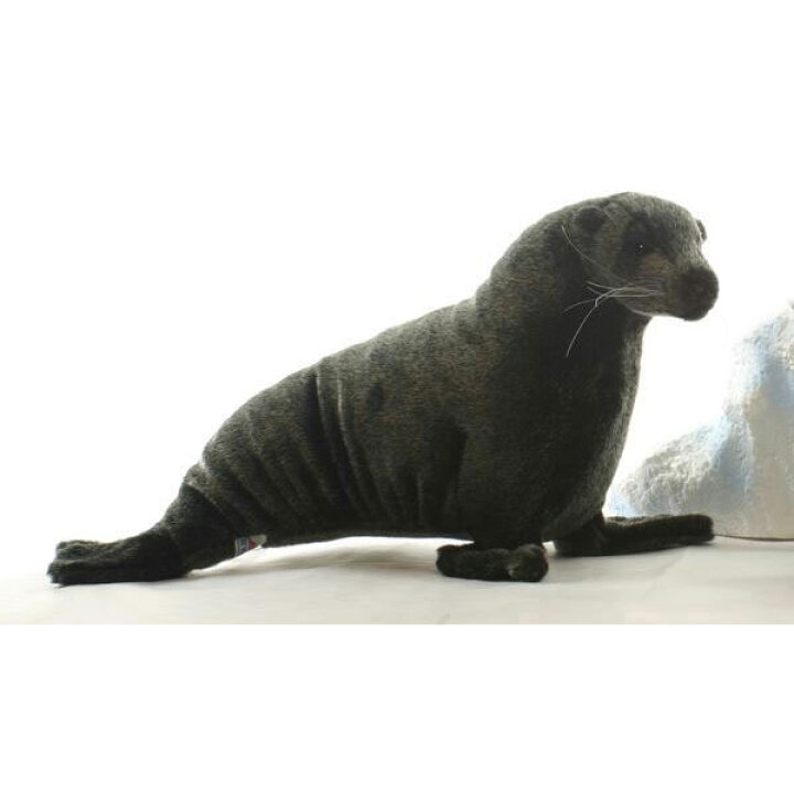 楽天市場 Hansa 母アシカ45 L45 Cm 4901 ぬいぐるみ ハンサ クリスマス 誕生日 プレゼント 動物 犬 猫 鳥 うさぎ ペンギン アニマル 置物 人形 フィギュア Koesen ケーセン カロラータ 大きい マスコット 実物大 大型 Agog 楽天市場店