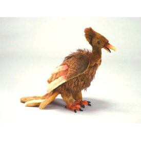 楽天市場 不死鳥 ぬいぐるみ ぬいぐるみ 人形 おもちゃの通販