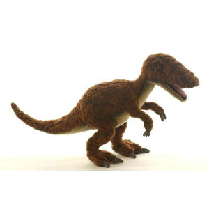 HANSA FLvg48 L48(cm) 5562 ʂ nT NX}X a v[g   L   yM Aj} u l` tBMA KOESEN P[Z 傫 }XRbg  