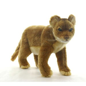 HANSA qCI36 L36(cm) 5746 ʂ nT NX}X a v[g   L   yM Aj} u l` tBMA KOESEN P[Z 傫 }XRbg  ^