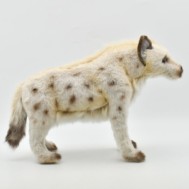 楽天市場 Hansa 4928 ブチハイエナ 35 全長 35cm Spotted Hyena Bh4928 ぬいぐるみ ハンサ クリスマス 誕生日 プレゼント 動物 犬 猫 鳥 うさぎ ペンギン アニマル 置物 人形 フィギュア Koesen ケーセン カロラータ 大きい マスコット 実物大 大型 Agog 楽天市場店