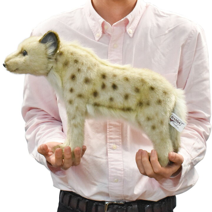 楽天市場 Hansa 4928 ブチハイエナ 35 全長 35cm Spotted Hyena Bh4928 ぬいぐるみ ハンサ クリスマス 誕生日 プレゼント 動物 犬 猫 鳥 うさぎ ペンギン アニマル 置物 人形 フィギュア Koesen ケーセン カロラータ 大きい マスコット 実物大 大型 Agog 楽天市場店