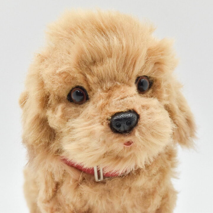 楽天市場 Hansa 6153 トイプードル22 全長 22cm Toy Poodle Bh6153 ぬいぐるみ ハンサ クリスマス 誕生日 プレゼント 動物 犬 猫 鳥 うさぎ ペンギン アニマル 置物 人形 フィギュア Koesen ケーセン カロラータ 大きい マスコット 実物大 大型 Agog 楽天市場店 楽天市場 Hansa 6153 トイプードル22 全長 22cm Toy Poodle Bh6153 ぬいぐるみ ハンサ クリスマス 誕生日 プレゼント 動物 犬 猫 鳥 うさぎ ペンギン アニマル 置物 人形 フィギュア Koesen ケーセン カロラータ 大きい マスコット 実物大 大型 Agog 楽天市場店