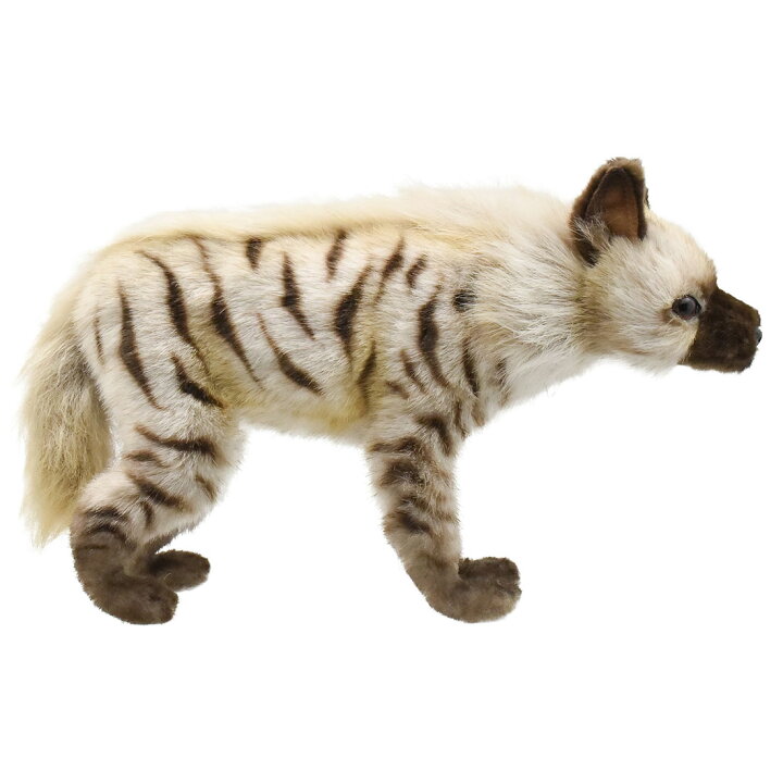 楽天市場 Hansa 6210 シマハイエナ33 全長 33cm Stripped Hyena ぬいぐるみ ハイエナ ハンサ クリスマス 誕生日 プレゼント 動物 犬 猫 鳥 うさぎ ペンギン アニマル 置物 人形 フィギュア Koesen ケーセン カロラータ 大きい マスコット 実物大 大型 Agog 楽天市場店