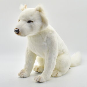 HANSA 6343 zbJChEP60 SF60cm HOKKAIDO DOG BH6343 ʂ nT kC NX}X a v[g   L   yM Aj} u l` tBMA KOESEN P[Z