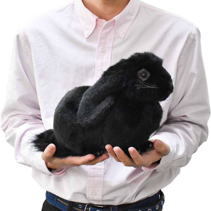 楽天市場 Hansa 8142 ホーランド ロップ ブラック 33cm 黒 Holland Lop Ear ぬいぐるみ ハンサ ロップイヤー たれ耳 兎 ウサギ クリスマス 誕生日 プレゼント 動物 犬 猫 鳥 うさぎ ペンギン アニマル 置物 人形 Koesen ケーセン カロラータ 大きい マスコット
