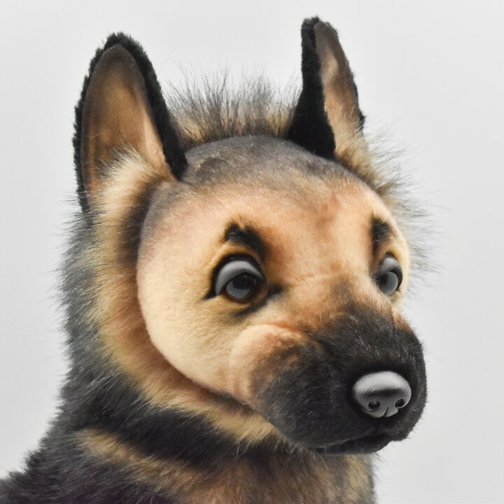 楽天市場】HANSA ジャーマン・シェパード(仔)56 H40(cm) 3995 子犬 