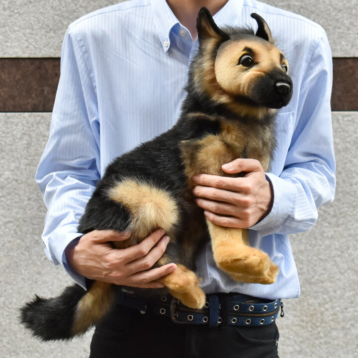 楽天市場】HANSA ジャーマン・シェパード(仔)56 H40(cm) 3995 子犬 