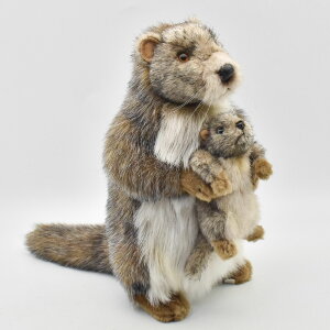 HANSA 4162 }[bgIR35 SF35cm MARMOT AND SON BH4162 ʂ nT eq NX}X a v[g   L   yM Aj} u l` tBMA KOESEN P[Z 