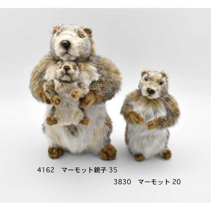 楽天市場】HANSA 4162 マーモットオヤコ35 全長：35cm MARMOT AND SON 