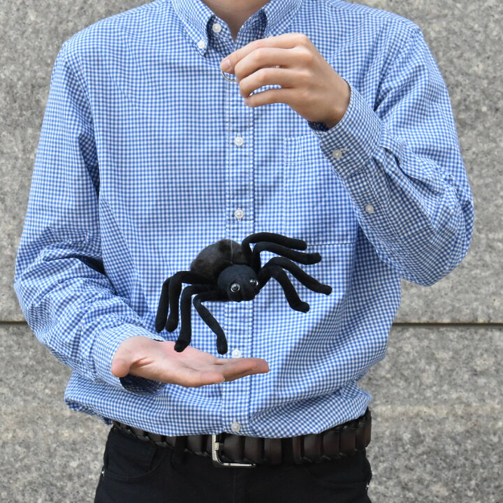 楽天市場 Hansa ブラックタランチュラ19 L19 Cm 4729 ぬいぐるみ ハンサ 蜘蛛 クモ 爬虫類 は虫類 クリスマス 誕生日 プレゼント 動物 犬 猫 鳥 うさぎ ペンギン アニマル 置物 人形 フィギュア Koesen ケーセン カロラータ 大きい マスコット 実物大 大型 Bh4729
