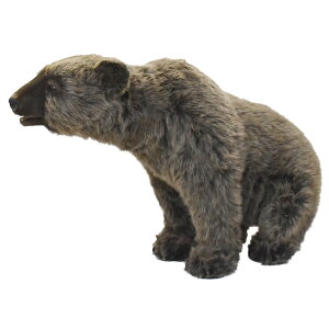 HANSA DFO}68 H68(cm) 5627 N} F xA xA[ efBxA ʂ nT NX}X a v[g   L   yM Aj} u l` tBMA KOESEN P[Z 