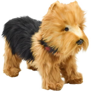 HANSA 5900 [NV[eA27 L27(cm) ʂ nT NX}X a v[g   L   yM Aj} u l` tBMA KOESEN P[Z 傫 }XRbg 