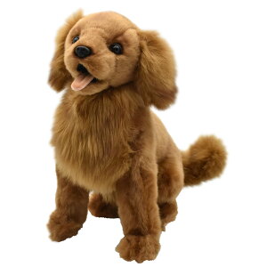 HANSA 6184 S[fgo[32 SF32cm GOLDENR B BH6184 ʂ nT NX}X a v[g   L   yM Aj} u l` tBMA KOESEN P[Z 傫