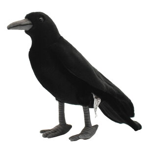 HANSA 6266 JX31 SF31cm BLACK CROW BH6266 ʂ nT NX}X a v[g   L   yM Aj} u l` tBMA KOESEN P[Z 傫 }XRbg 