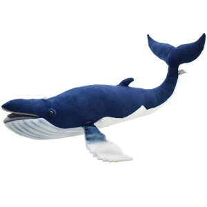 HANSA 6289 UgENW59 SF59cm HUMPBACK WHALE BH6289 ʂ nT ~ NX}X a v[g   L   yM Aj} u l` tBMA KOESEN P[Z 傫 