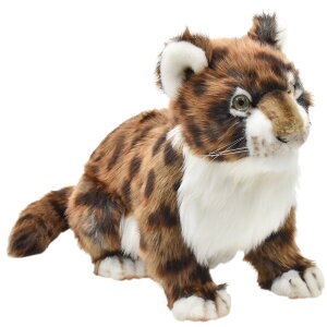 HANSA 7128 s[}(R)30 SF30cm COUGAR CUB BH7128 ʂ nT NX}X a v[g   L   yM Aj} u l` tBMA KOESEN P[Z 傫 }XR