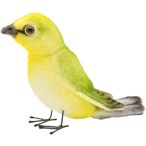 HANSA 7246 W13 SF13cm WHITE EYED BIRD BH7246 ʂ nT NX}X a v[g   L   yM Aj} u l` tBMA KOESEN P[Z 傫 }XRb