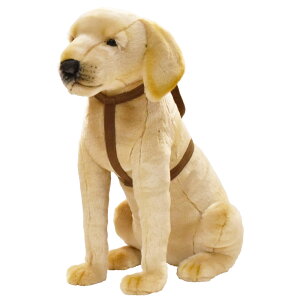 HANSA uh[50 3099 ʂ nT NX}X a v[g   L   yM Aj} u l` tBMA KOESEN P[Z 傫 }XRbg  ^