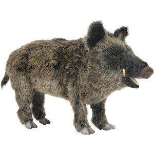 HANSA BH4092 CmVV 52 WILD BOAR 52cm  E{[ V x N A ʂ nT NX}X a v[g  Aj} u l` tBMA KOESEN P[Z 傫 }XRb