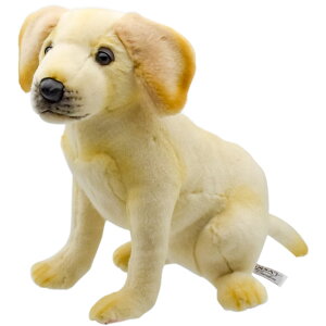 HANSA uh[(e)32 H25(cm) 4712 q ʂ nT NX}X a v[g   L   yM Aj} u l` tBMA KOESEN P[Z 傫 }XRbg 