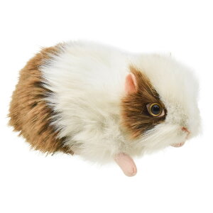 HANSA 5300 eWNlY~15 SF15cm GUINEA PIG BH5300 ʂ nT NX}X a v[g   L   yM Aj} u l` tBMA KOESEN P[Z 傫 }X