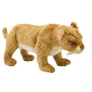 HANSA T[xgD[X31 L31(cm) 5564 ʂ nT NX}X a v[g   L   yM Aj} u l` tBMA KOESEN P[Z 傫 }XRbg  