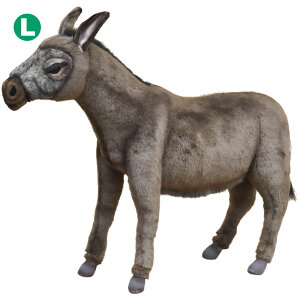 HANSA o70 L70(cm) 5603 ʂ nT NX}X a v[g   L   yM Aj} u l` tBMA KOESEN P[Z 傫 }XRbg  ^