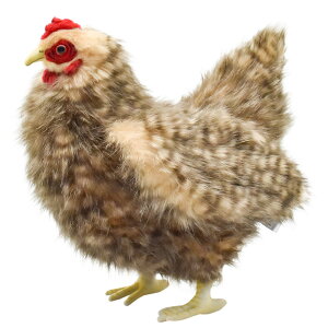 HANSA h30 H30(cm) 5621 ʂ nT NX}X a v[g   L   yM Aj} u l` tBMA KOESEN P[Z 傫 }XRbg  ^