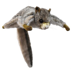 HANSA 5855 TTr35 SF35cm FLYING SQUIRREL BH5855 ʂ nT NX}X a v[g   L   yM Aj} u l` tBMA KOESEN P[Z 傫 }XR