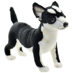 HANSA 6367 `27 SF27cm CHIHUAHUA (BLACK) BH6367 ʂ nT NX}X a v[g   L   yM Aj} u l` tBMA KOESEN P[Z 傫 }XR