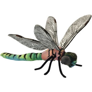 HANSA BH6566 g{ 33 DRAGONFLY   A ʂ nT a v[g   L   yM Aj} u l` tBMA 傫 }XRbg  ^ rbO 