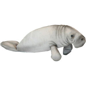HANSA BH6603 }ieB[ 45 MANATEE  }ieB M A ʂ nT a v[g   L   yM Aj} u l` tBMA 傫 }XRbg  