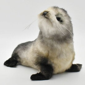 HANSA 6700 オーストラリアアシカ(コ)26 AUSTRALIAN FUR SEAL PUP 全長：26cm BH6700 ぬいぐるみ ハンサ クリスマス 誕生日 プレゼント 動物 犬 猫 鳥 うさぎ ペンギン アニマル 置物 人形 フィギュア KOESEN ケーセン 大きい マスコット 実物大 大型