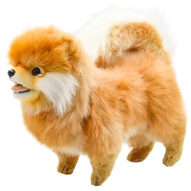 HANSA 7018 ポメラニアン39 全長：39cm POMERANIAN DOG BH7018 ぬいぐるみ ハンサ クリスマス 誕生日 プレゼント 動物 犬 猫 鳥 うさぎ ペンギン アニマル 置物 人形 フィギュア KOESEN ケーセン 大きい マスコット 実物大 大型