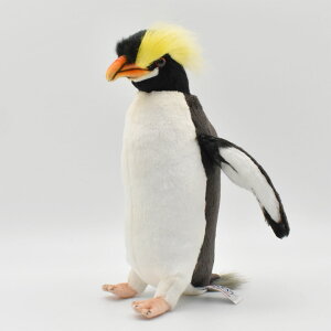 HANSA 7098 V[^[yM24 SF24cm ERECTCREST BH7098 ʂ nT NX}X a v[g   L   yM Aj} u l` tBMA KOESEN P[Z 傫