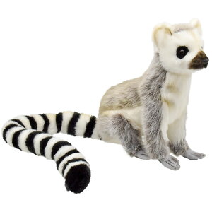 HANSA BH7356 ILclU 24 LEMUR SITTING 24cm A ʂ nT V}E} n E} L NX}X a v[g  Aj} u l` tBMA KOESEN P[Z 傫 }X