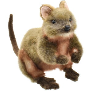 HANSA 7362 クアッカワラビー 22 QUOKKA ぬいぐるみ ハンサ クリスマス 誕生日 プレゼント 動物 犬 猫 鳥 うさぎ ペンギン アニマル 置物 人形 フィギュア KOESEN ケーセン 大きい マスコット 実物大