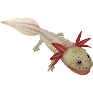 HANSA BH7802 ウーパールーパー 45 AXOLOTL リアル ぬいぐるみ ハンサ 誕生日 プレゼント 動物 犬 猫 鳥 うさぎ ペンギン アニマル 置物 人形 フィギュア 大きい マスコット 実物大 大型 ビッグ おす