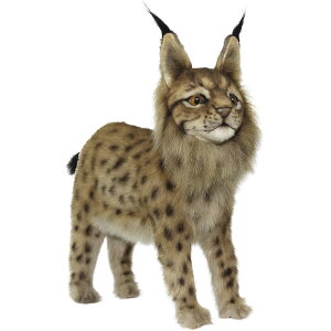 HANSA BH8070 ヨーロッパオオヤマネコ 33 EURASIAN LYNX リンクス 猫 山猫 野生猫 リアル ぬいぐるみ ハンサ 誕生日 プレゼント 動物 犬 猫 鳥 うさぎ ペンギン アニマル 置物 人形 フィギュア 大きい