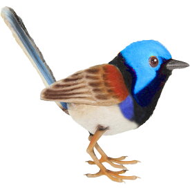 HANSA BH8410 ムナグロオーストラリアムシクイ 12 VARIEGATED FAIRYWREN 鳥 小鳥 リアル ぬいぐるみ ハンサ 誕生日 プレゼント 動物 犬 猫 鳥 うさぎ ペンギン アニマル 置物 人形 フィギュア 大きい マスコット 実物大 大型 ビッグ おすすめ かわいい おしゃれ