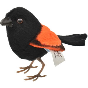 HANSA BH8411 ZAJI[XgAVNC 12 RED-BACKED FAIRYWREN   A ʂ nT a v[g   L   yM Aj} u l` tBMA 傫 }X