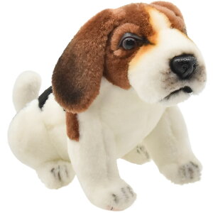 HANSA BH8420 TC ビーグル 15 ティーカップビーグル BEAGLE リアル ぬいぐるみ ハンサ クリスマス 誕生日 プレゼント 動物 犬 猫 鳥 うさぎ ペンギン アニマル 置物 人形 フィギュア KOESEN ケーセン 大