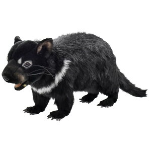 HANSA ^X}jAfr60 L60(cm) 4383 ʂ nT ^X}jAfr NX}X a v[g   L   yM Aj} u l` tBMA KOESEN P[Z 傫