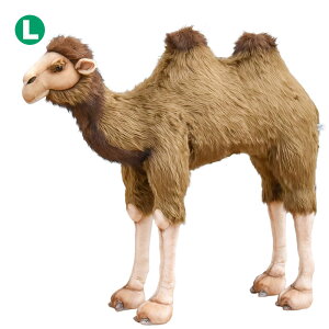 HANSA 2062 t^RuN^102 SF102cm BACTRIANCAMEL BH2062 ʂ nT NX}X a v[g   L   yM Aj} u l` tBMA KOESEN P[Z 傫 